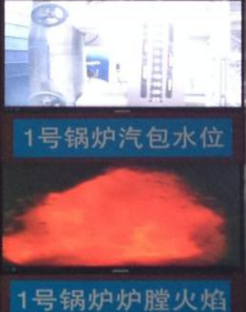 焚烧销毁